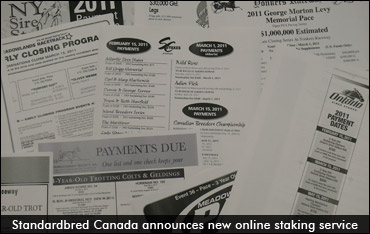 Online Staking Is “Awesome” 