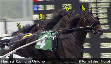 Harness Racing To Lose Millions