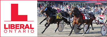 Party Platforms For Racing: Liberals