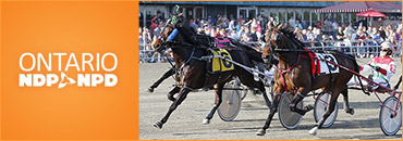 Party Platforms For Racing: NDP