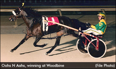 Rare Company For Oohs N Aahs