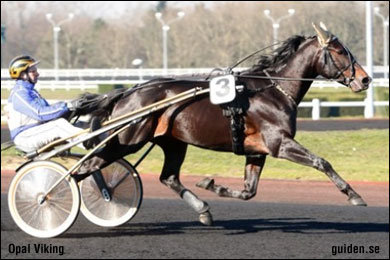 The World According To Dean: Opal Viking is the fresh face in France 