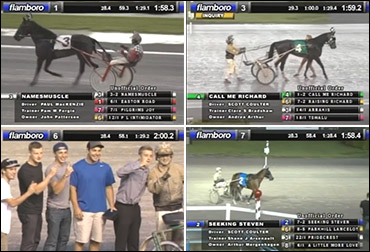 Sons Of Muscle Mass Steal The Show Sons Of Muscle Mass Steal The Show