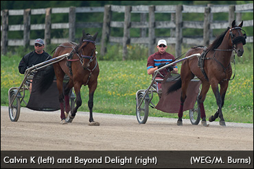 O'Sullivan's 1-2 Metro Punch