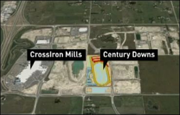 Excitement In Alberta