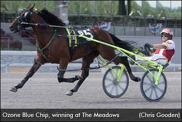 Sky's The Limit For Ozone Blue Chip