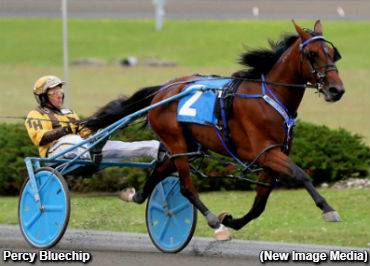 'Percy' And 'Thong' Grab More Gold; Dream Maker To Summer Travel