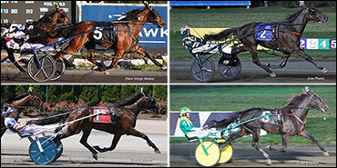 Stars Out Saturday At Meadowlands