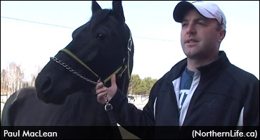 Sudbury Protest At MPP's Office
