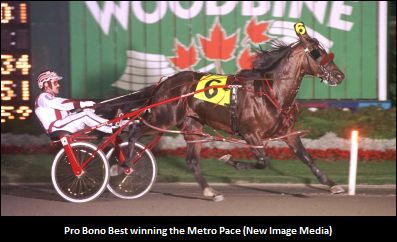 Pro Bono Best On The Move