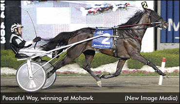 Happy Birthday, Peaceful Way