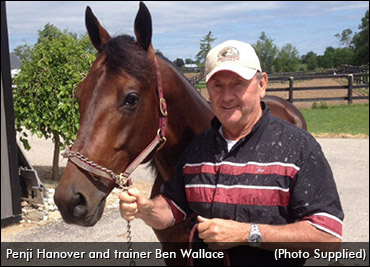 The North America Cup Dark Horse?