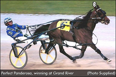 Perfect Panderosa Passes