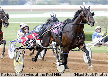 Perfect Union To Ontario