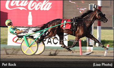 Lightly-Raced Pacer Set To 'Rock'