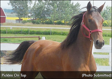 Pickles On Top Looks To Shine