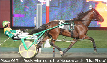 Young Looking Down The Road With Piece Of The Rock