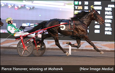 Somebeachsomewhere Scratch