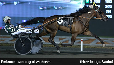 Trotter's Owners Are Tickled 'Pink'