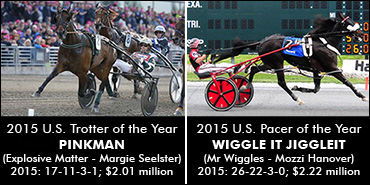 Pacer, Trotter Of The Year To Tioga