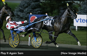 The Maritimes' Metro Contender