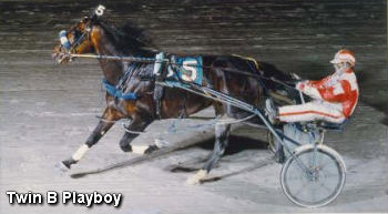 Twin B Playboy Passes