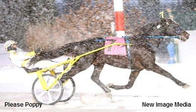 Please Poppy Trounces Rivals In Glorys Comet Final Please Poppy Trounces Rivals In Glorys Comet Final