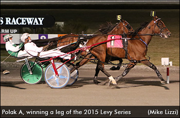 Australian Import Serves Notice