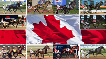 Poll: The Most 'Canadian' Sires