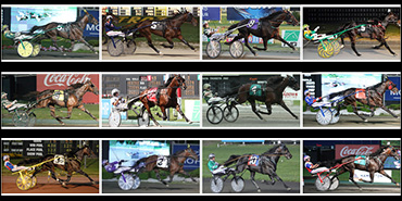 The Most Anticipated Stallions