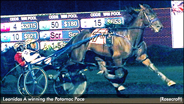 Leonidas A Pulls Off Potomac Upset