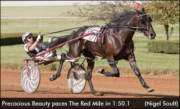 ‎Precocious Beauty To Qualify