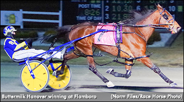 Buttermilk Hanover Brushes To Victory