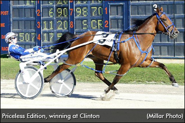 The Experience: Priceless