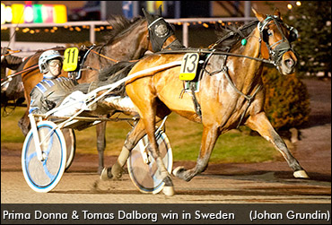 Dalborg Makes Mark In Sweden