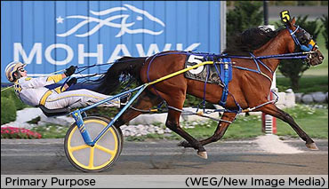 Primary Purpose In Gold Hunt