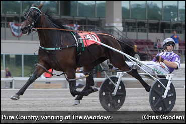 Pure Country Set For 2017 Debut