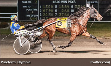 Pacer Turned Trotter Turns Heads