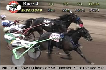 Favoured Freshman Fillies Deliver