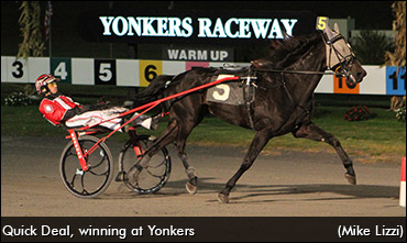 Quick Deal Sizzles At Big M