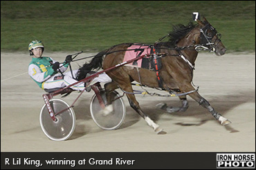 R Lil King Euthanized