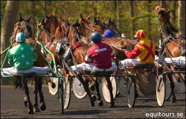 Prix d’Amerique Tour Package Offered