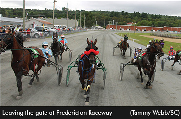 Fredericton Exhibition Wants Racing