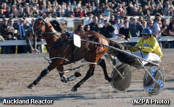 Auckland Reactor Nukes Record