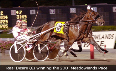 Real Desire To Ivy Lane Farm