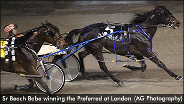 Sr Beach Babe Best In London