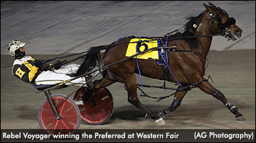 Rebel Voyager Wires London Preferred