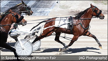 In Spades Sharp At London