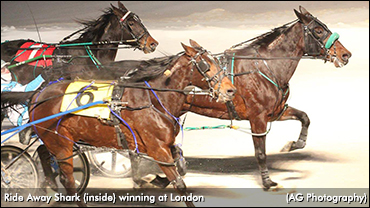 Ride Away Shark Rolls In London