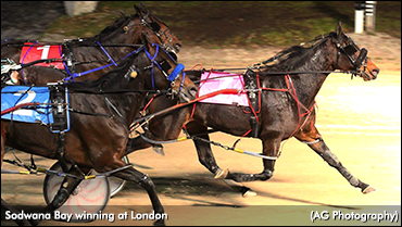 Sodwana Bay Bolts In London